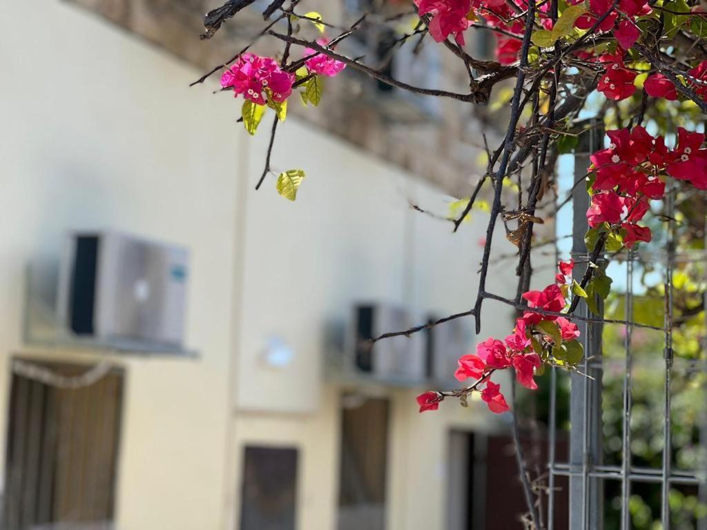 Godson Talpiot Aparthotel Haifa Kültér fotó